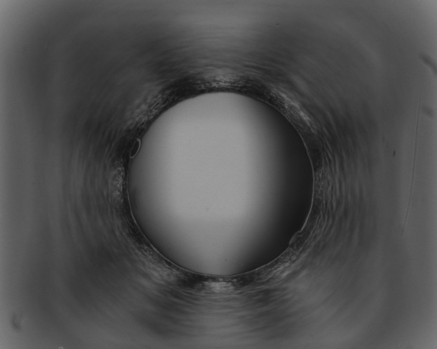 X0000093100509200710171203