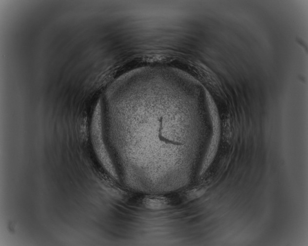 X0000093100510200710171203