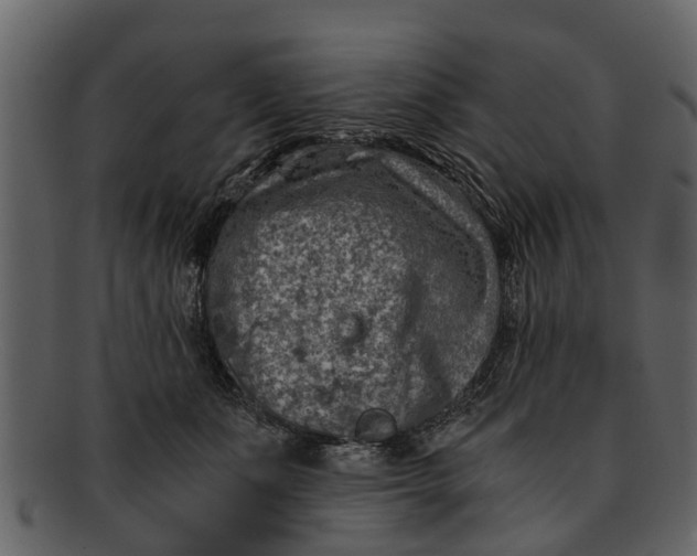 X0000093100511200710171203