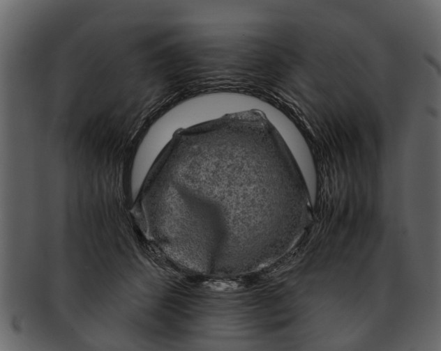 X0000093100512200710171203