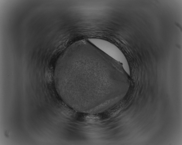 X0000093100515200710171203