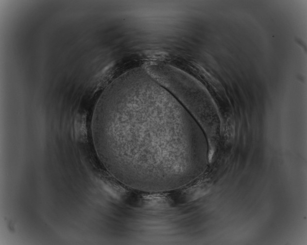 X0000093100516200710171203