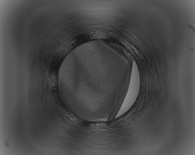 X0000093100517200710171203