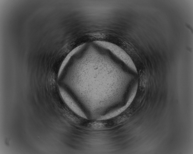 X0000093100518200710171203