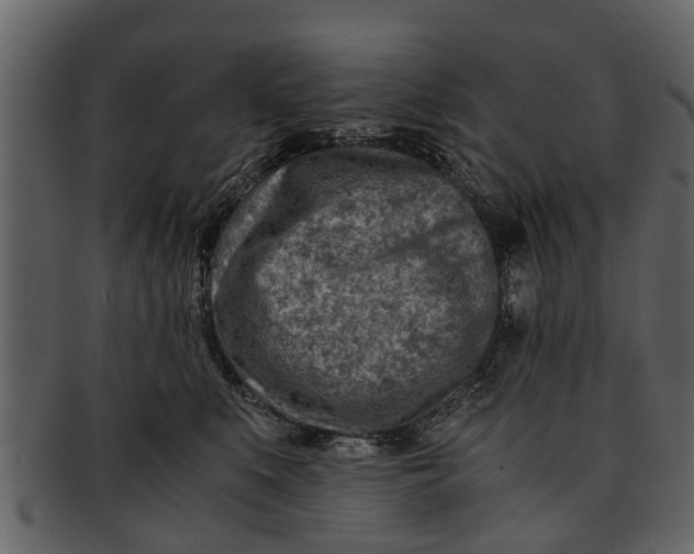 X0000093100519200710171203