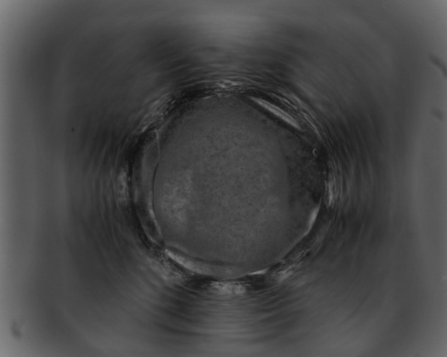 X0000093100520200710171203