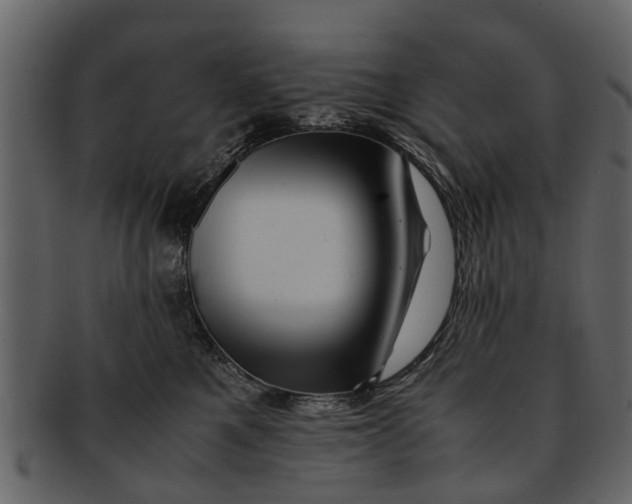 X0000093100521200710171203