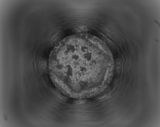 X0000093100523200710171203