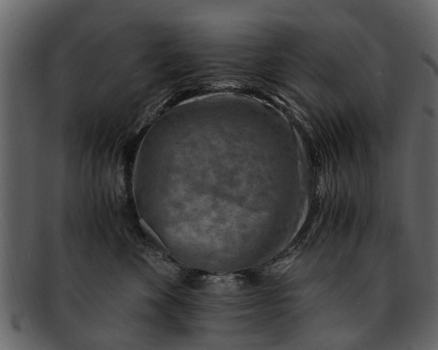 X0000093100524200710171203