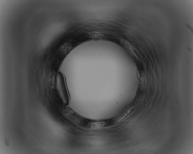 X0000093100525200710171203