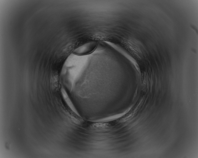 X0000093100526200710171203