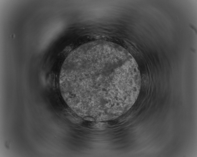 X0000093100527200710171203