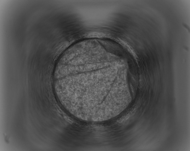 X0000093100529200710171202