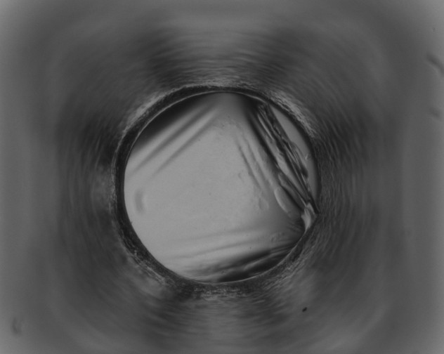 X0000093100532200710171203