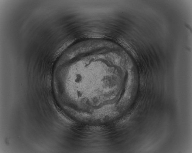 X0000093100533200710171203