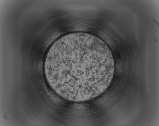X0000093100534200710171203