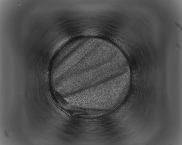 X0000093100535200710171203