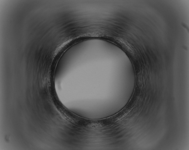 X0000093100536200710171203