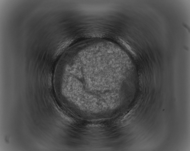 X0000093100537200710171203