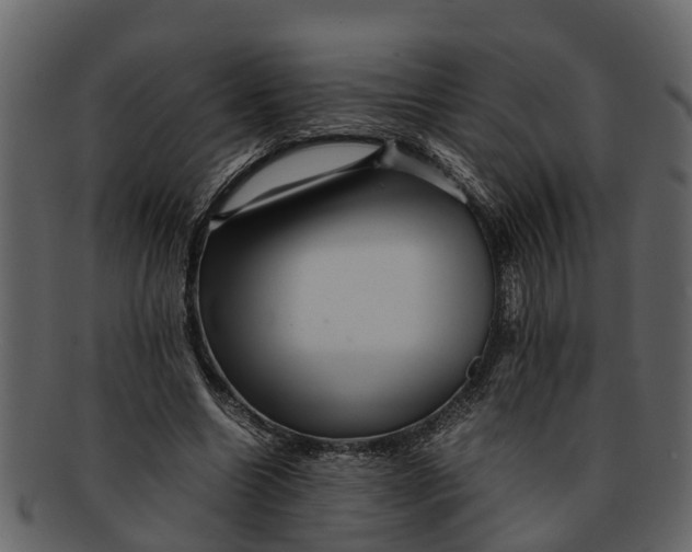 X0000093100538200710171203