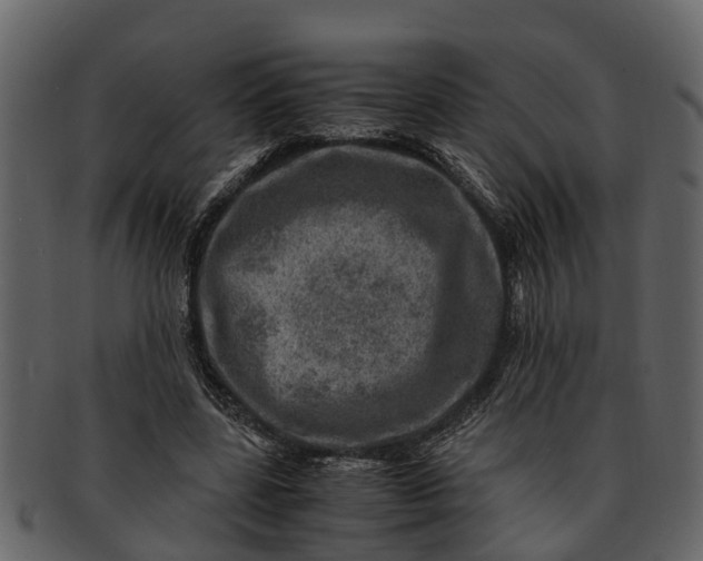 X0000093100539200710171203