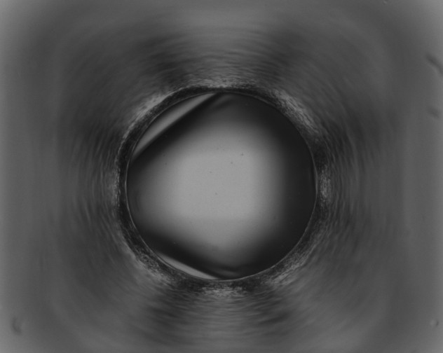 X0000093100540200710171203