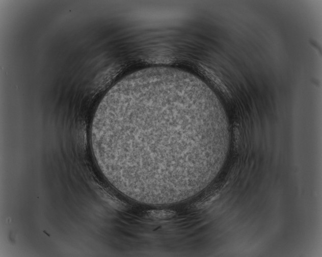 X0000093100541200710171203