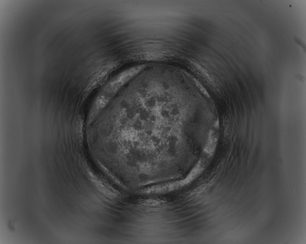 X0000093100542200710171203