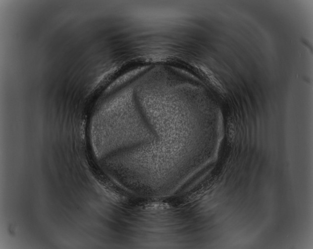 X0000093100543200710171203