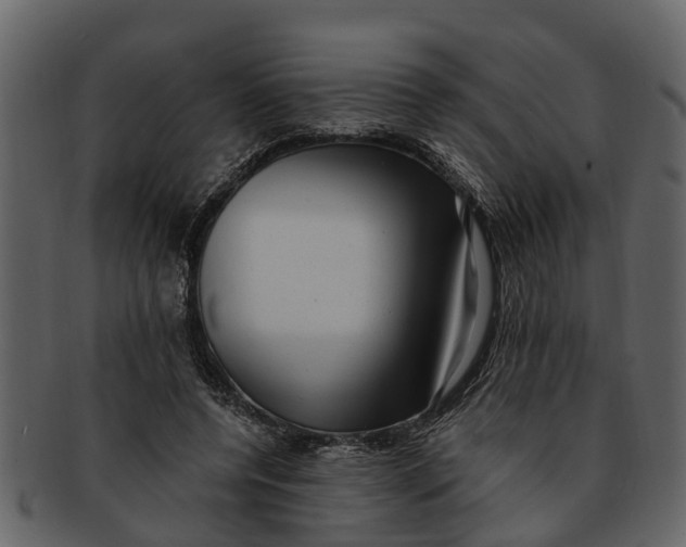 X0000093100544200710171203