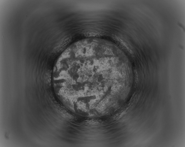 X0000093100545200710171203