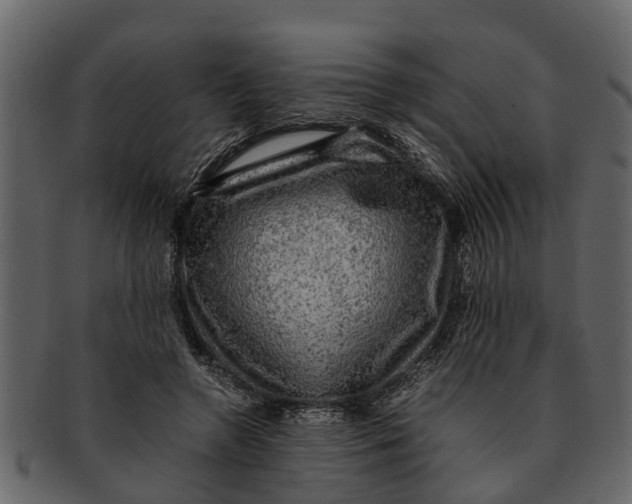 X0000093100546200710171203