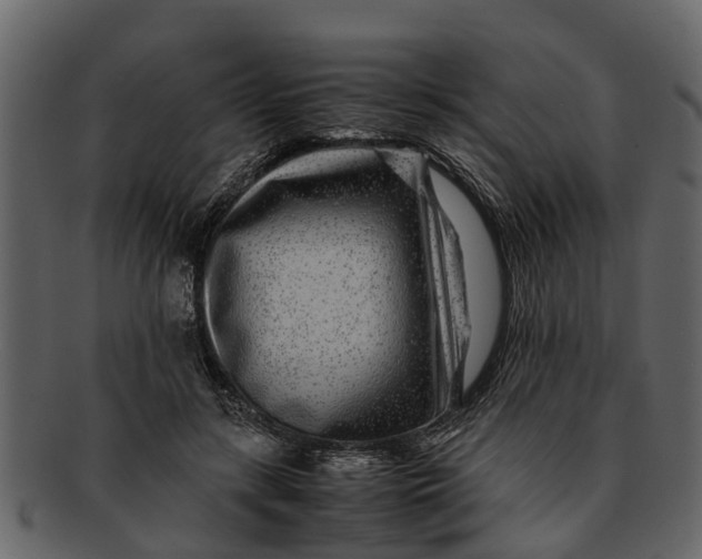 X0000093100547200710171203