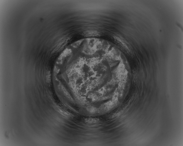 X0000093100549200710171203