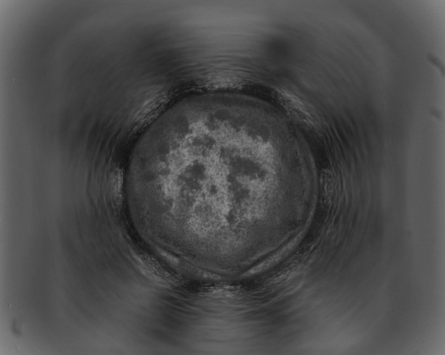 X0000093100550200710171203