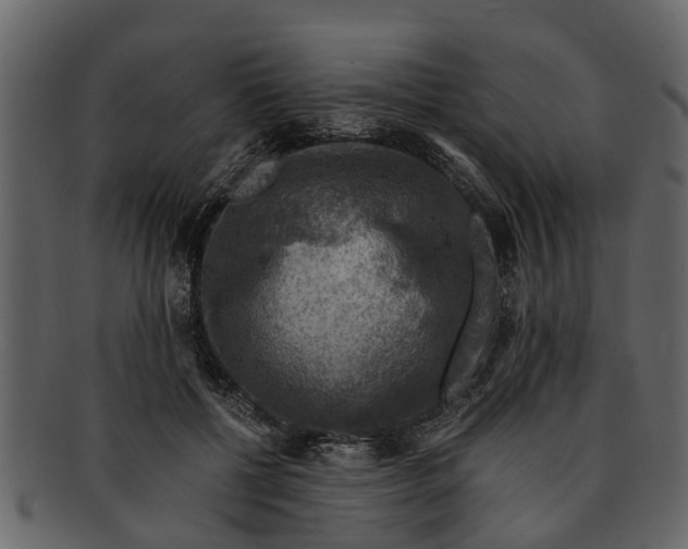 X0000093100552200710171203