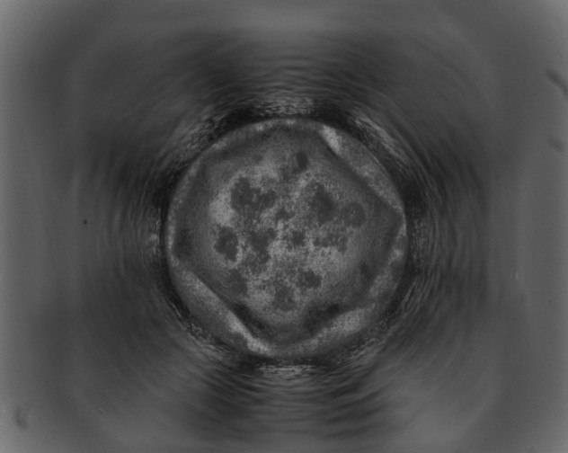X0000093100553200710171203