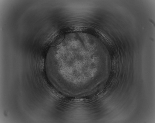 X0000093100554200710171203