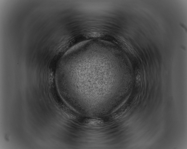 X0000093100555200710171203