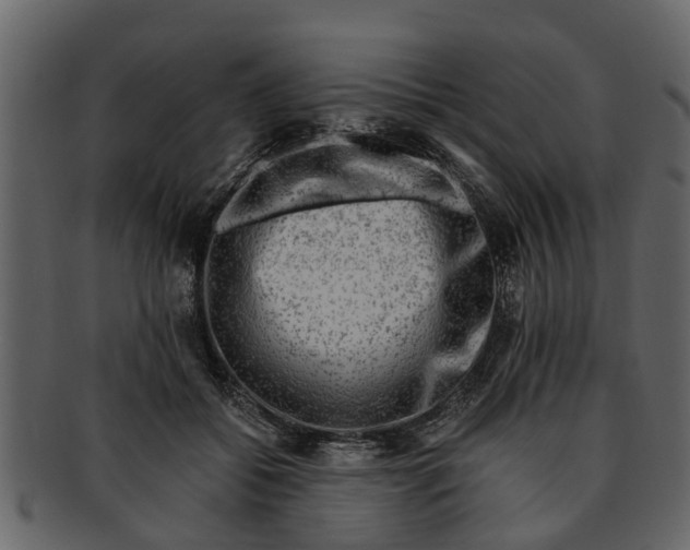 X0000093100556200710171203