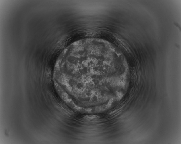 X0000093100557200710171203