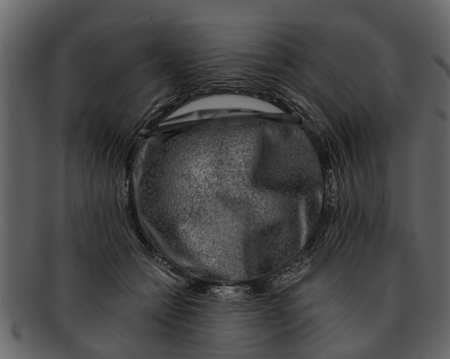 X0000093100558200710171203