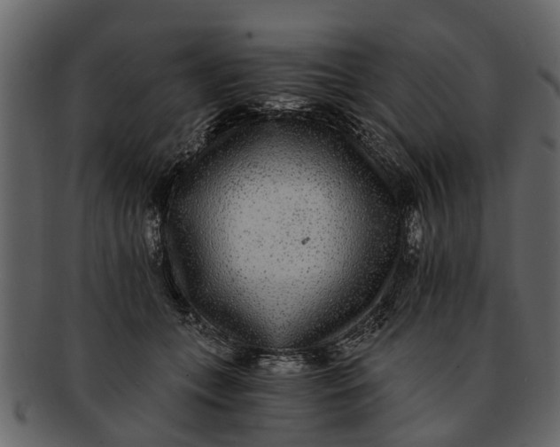 X0000093100559200710171203