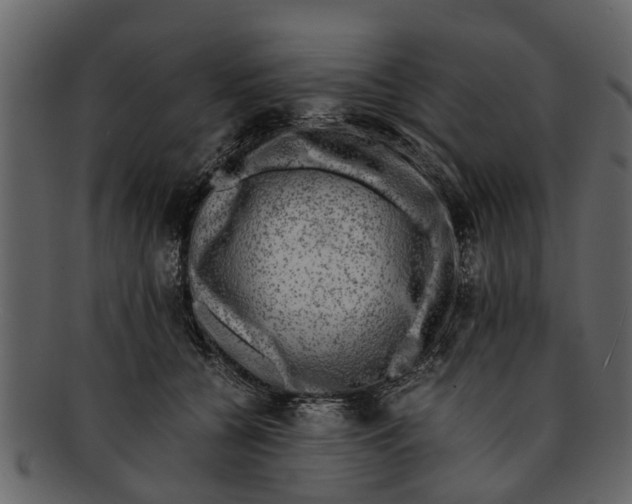 X0000093100560200710171203