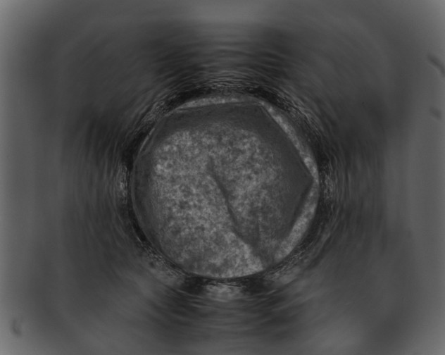 X0000093100561200710171203