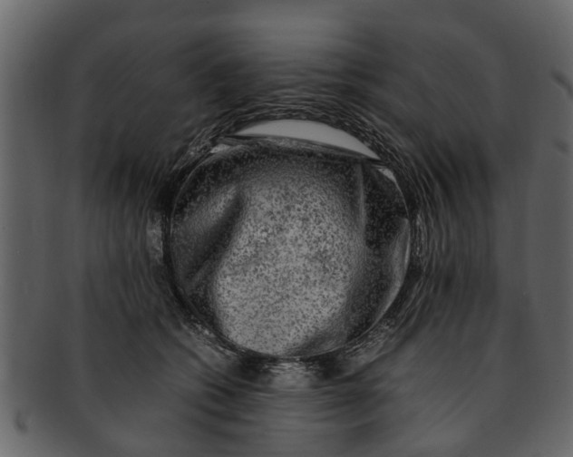 X0000093100562200710171203