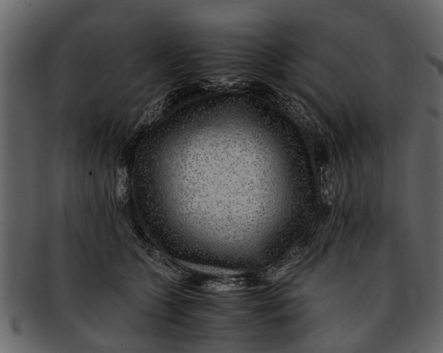 X0000093100563200710171203
