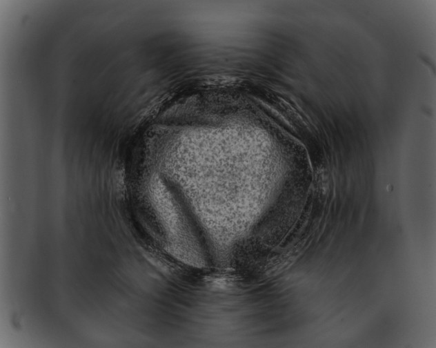 X0000093100564200710171203