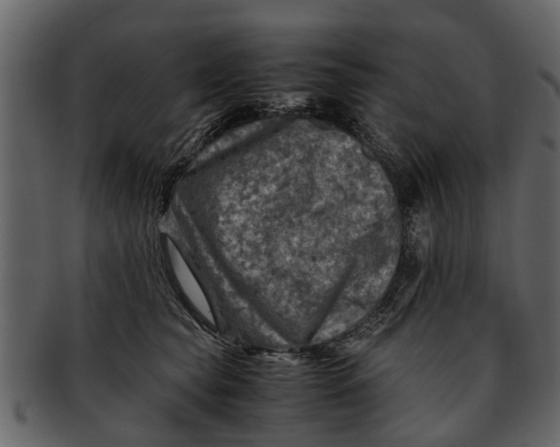 X0000093100565200710171203