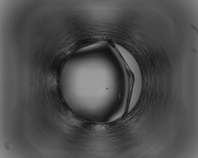 X0000093100566200710171203